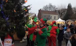 Arbre De Nol Spf   035